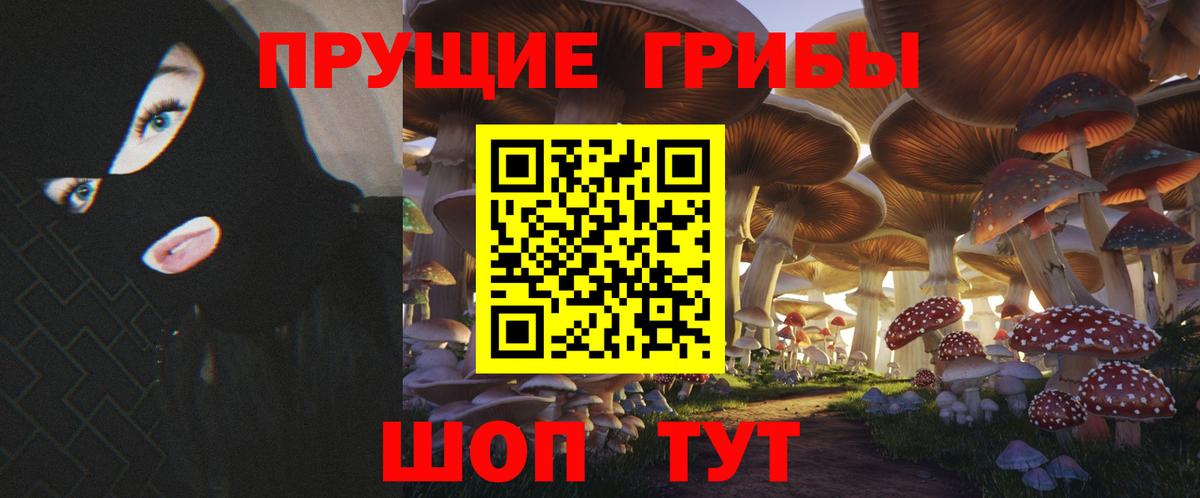 Большой Камень  Галлюциногенные грибы MAGIC MUSHROOMS  Вход с VPN  Галлюциногенные грибы прущие грибы 