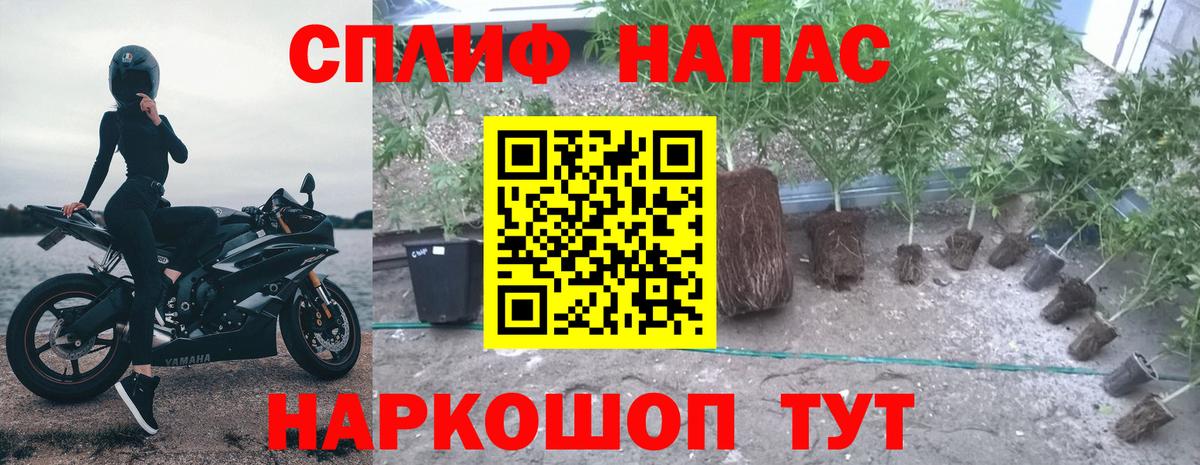 Шишки марихуана THC 21% Большой Камень